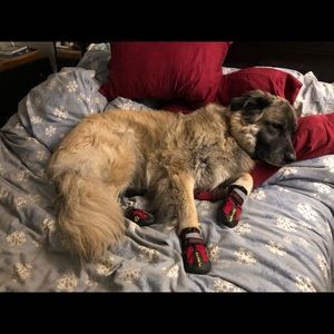 Meet your Posher, Candace